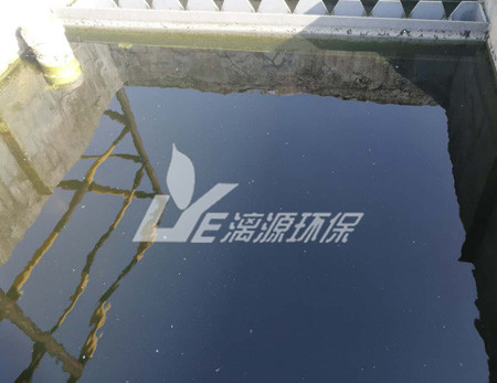 肉類加工廢水處理工藝的選擇有哪些呢？