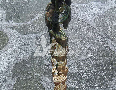 污水處理后產(chǎn)生的污泥如何分類？