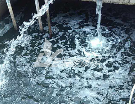 松香廢水處理技術(shù)，可以快速達(dá)標(biāo)