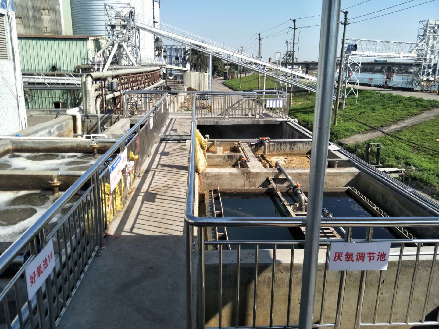 食品廢水植物處理技術(shù)，你知道嗎？